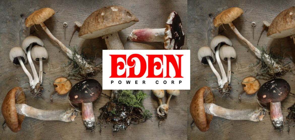 EDEN BANNER TOP