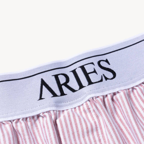 ARIES Temple Boxer Shorts - Red