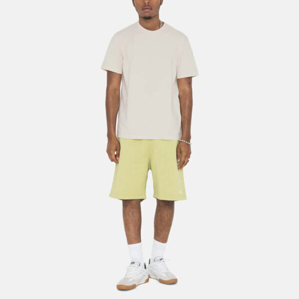 STUSSY Stock Logo Short - Pale Green