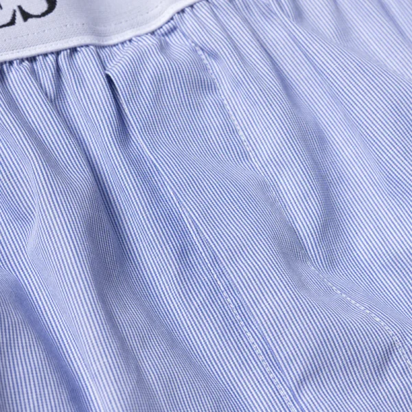 ARIES ARISE Stripe Poplin Classic Boxer Shorts – Blue