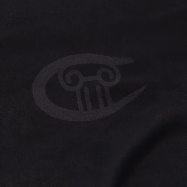 ARIES x CHAMPION Stars LS Tee - Black