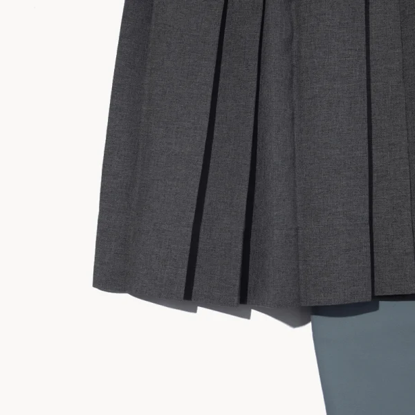 F Ce Arc Pleat Skirt – Gray